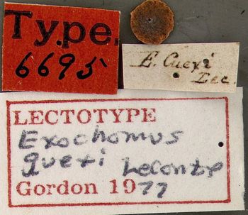 Media type: image;   Entomology 6695 Aspect: labels